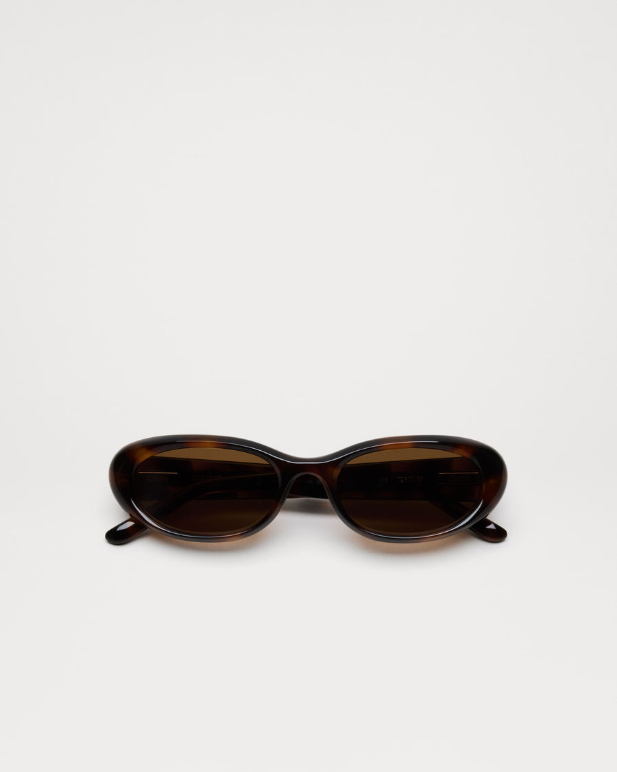 Chimi |  X16 | Tortoise