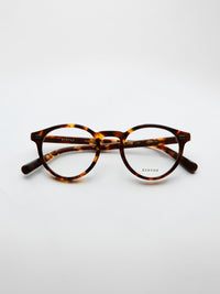 Eyevan Puerto - Turtle