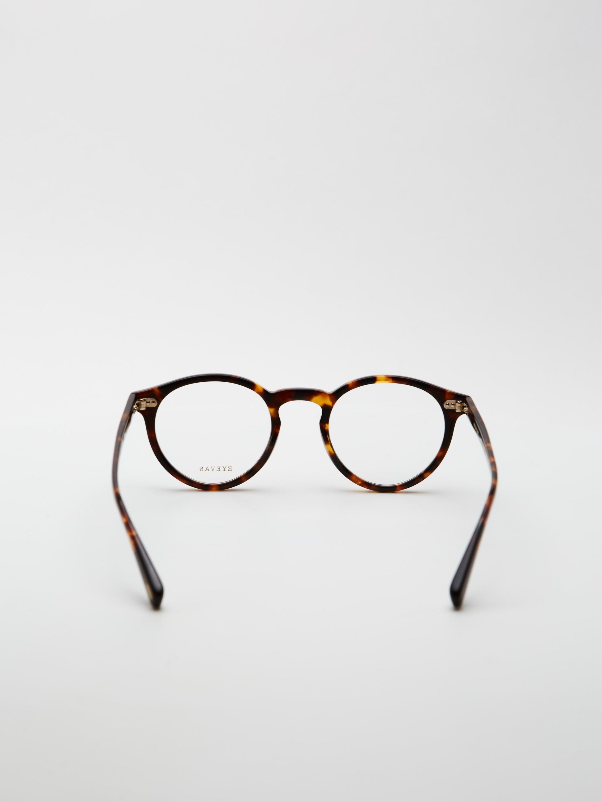 Eyevan Puerto - Dark Turtle