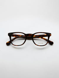 Eyevan Womack - Turtle