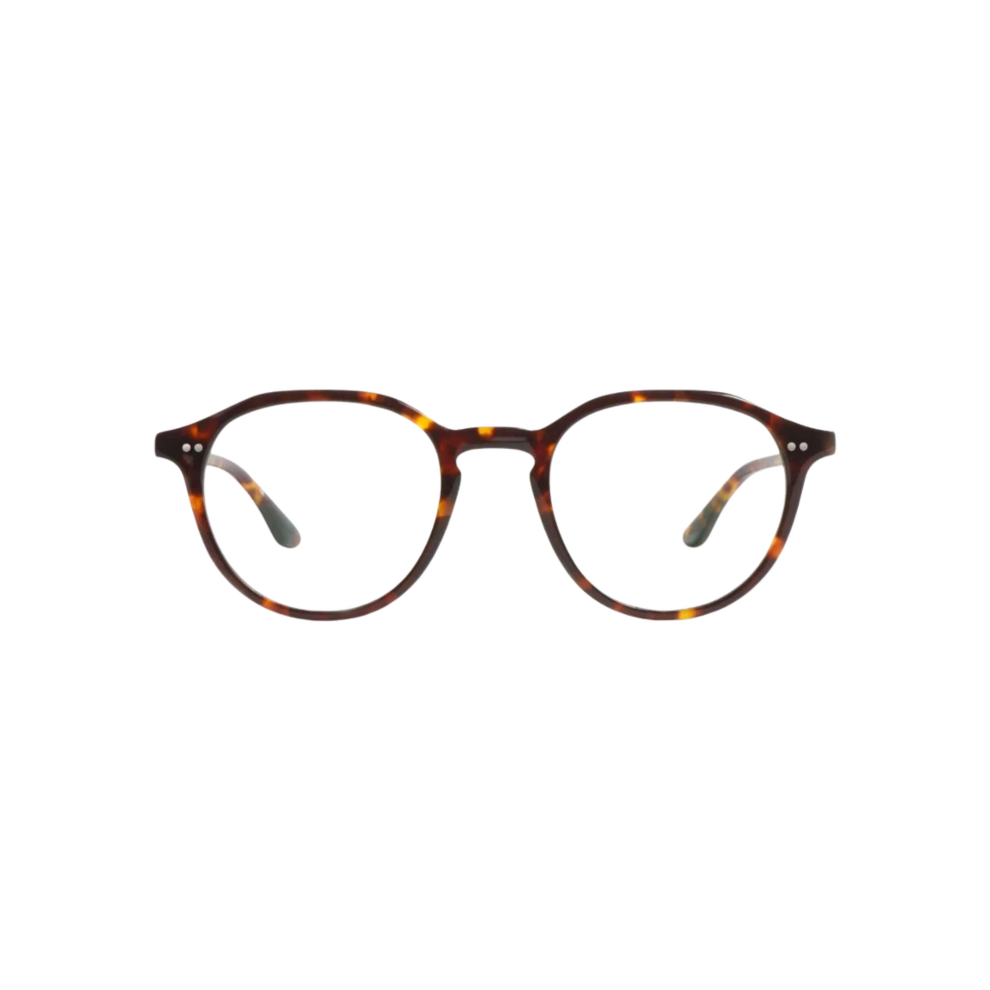 Peter and May | Romeo | Tortoise