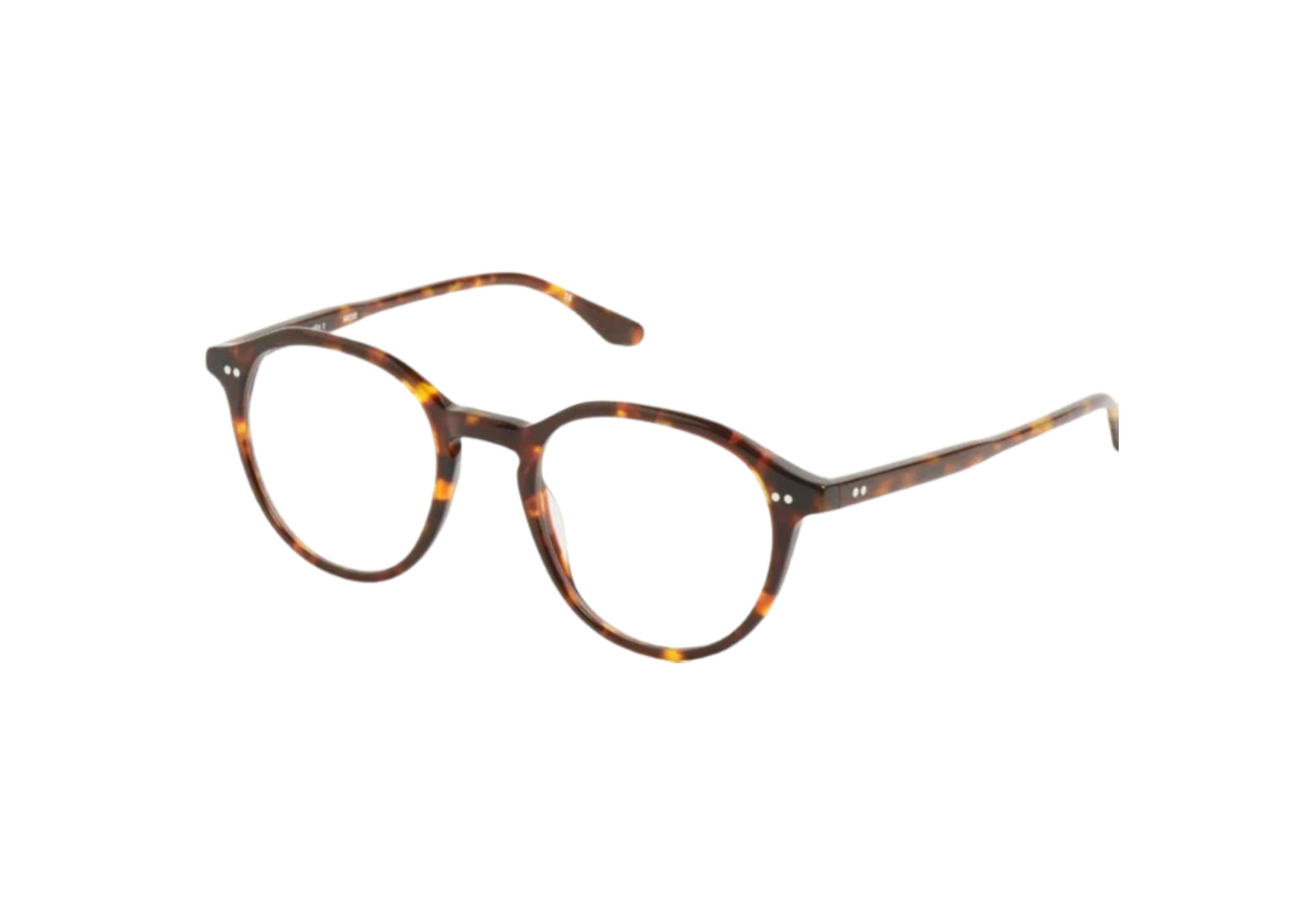 Peter and May | Romeo | Tortoise