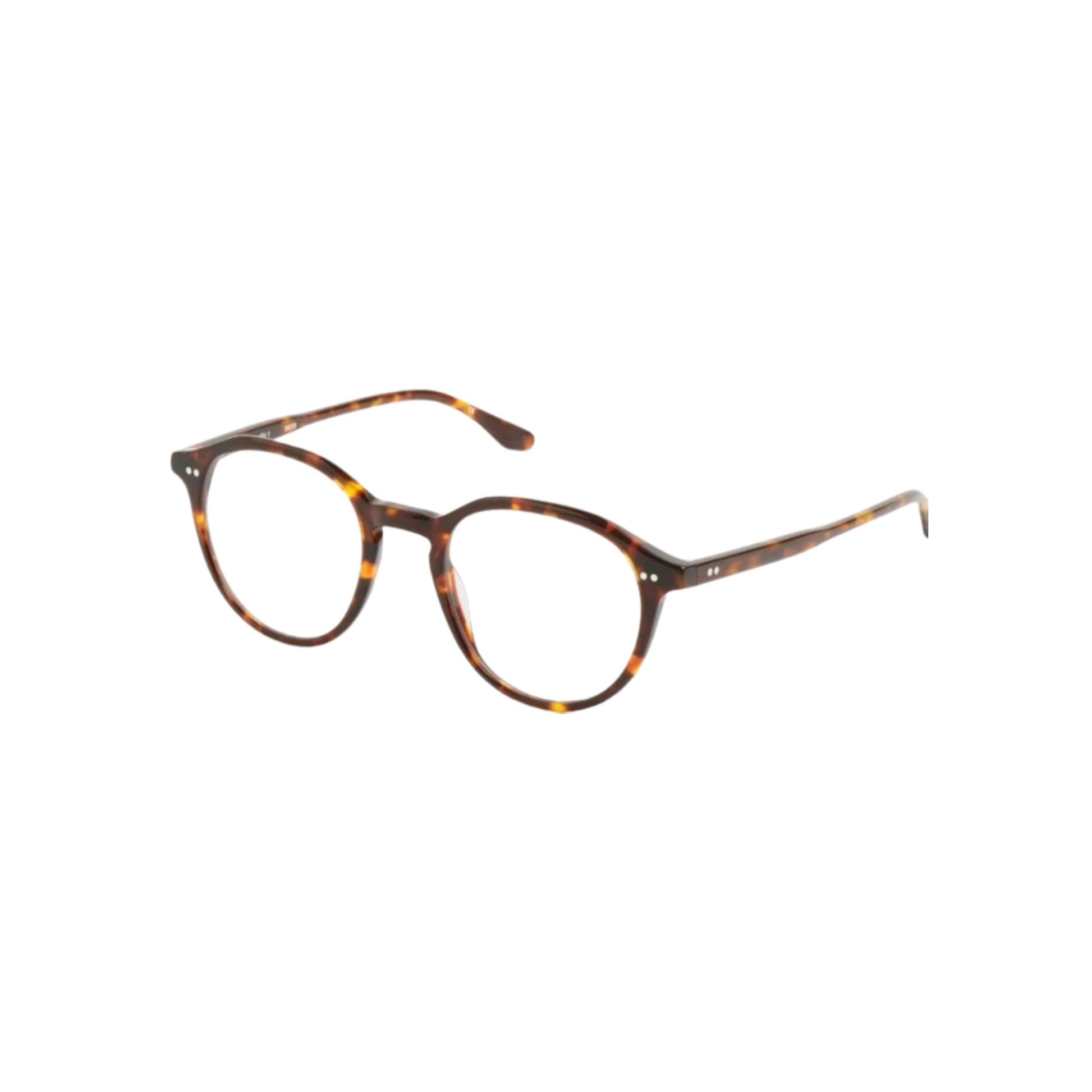 Peter and May | Romeo | Tortoise
