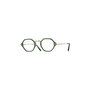 Eyevan 7285 | E-0517 | Bgn/G – sunglasses