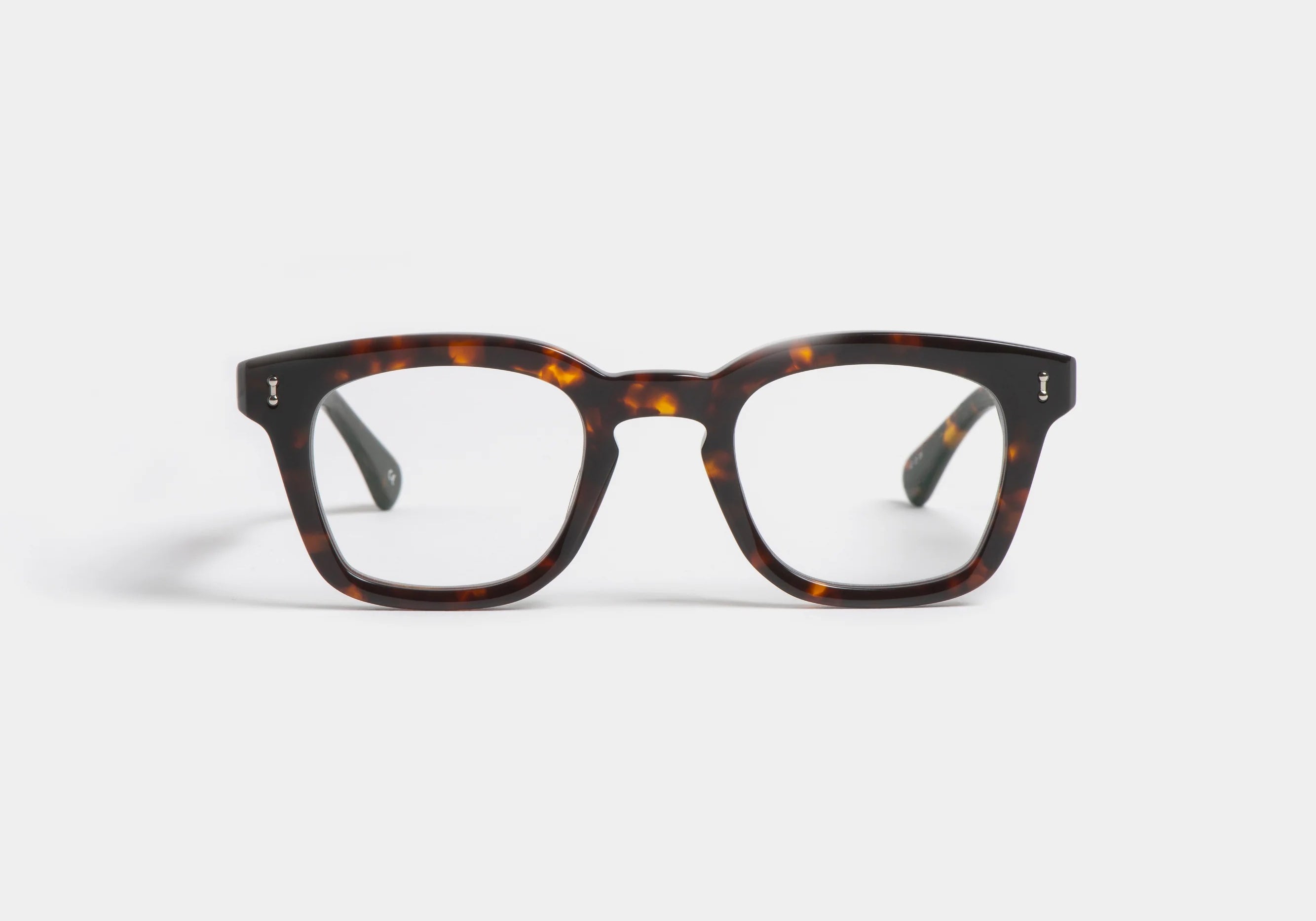 Peter and May | Son | Tortoise