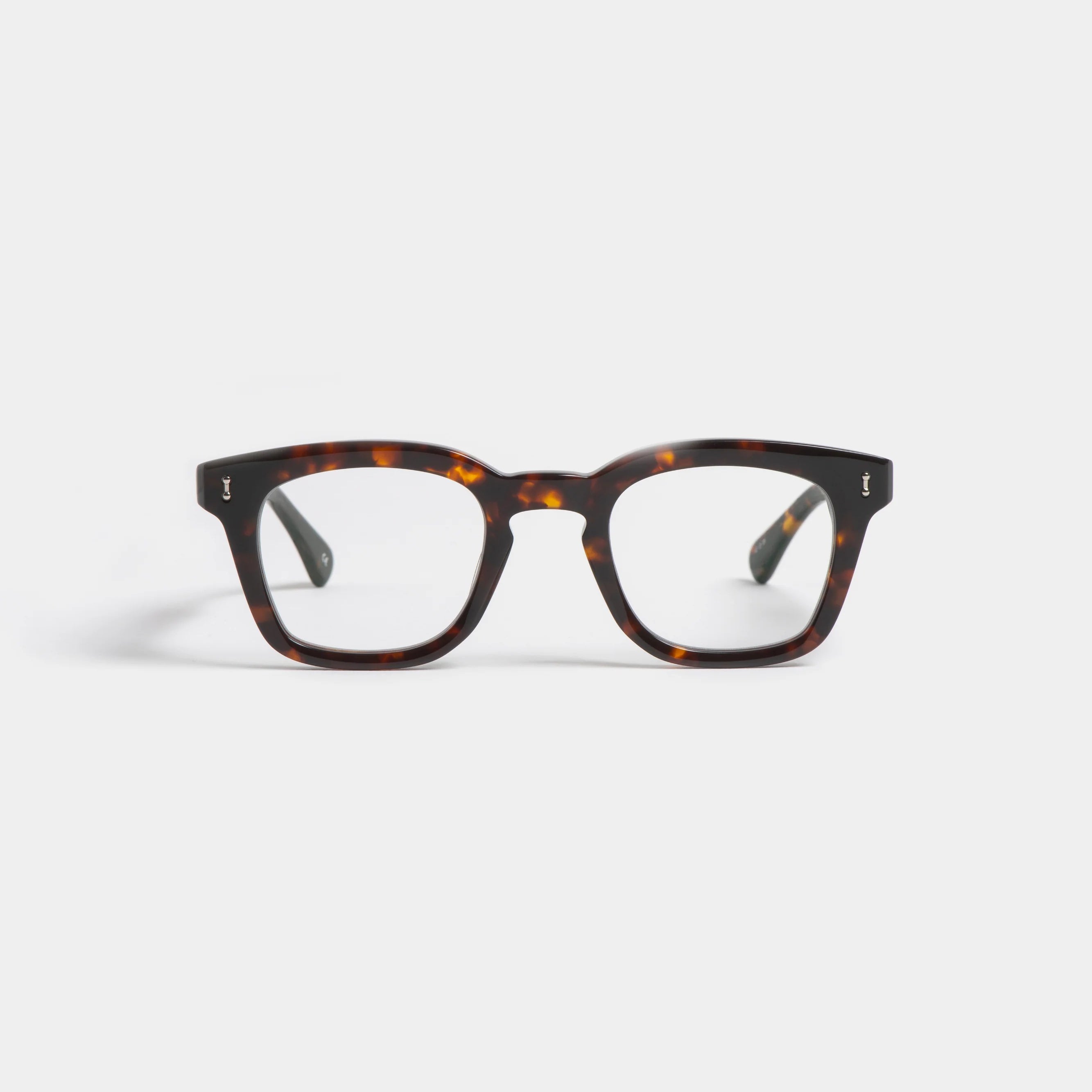Peter and May | Son | Tortoise