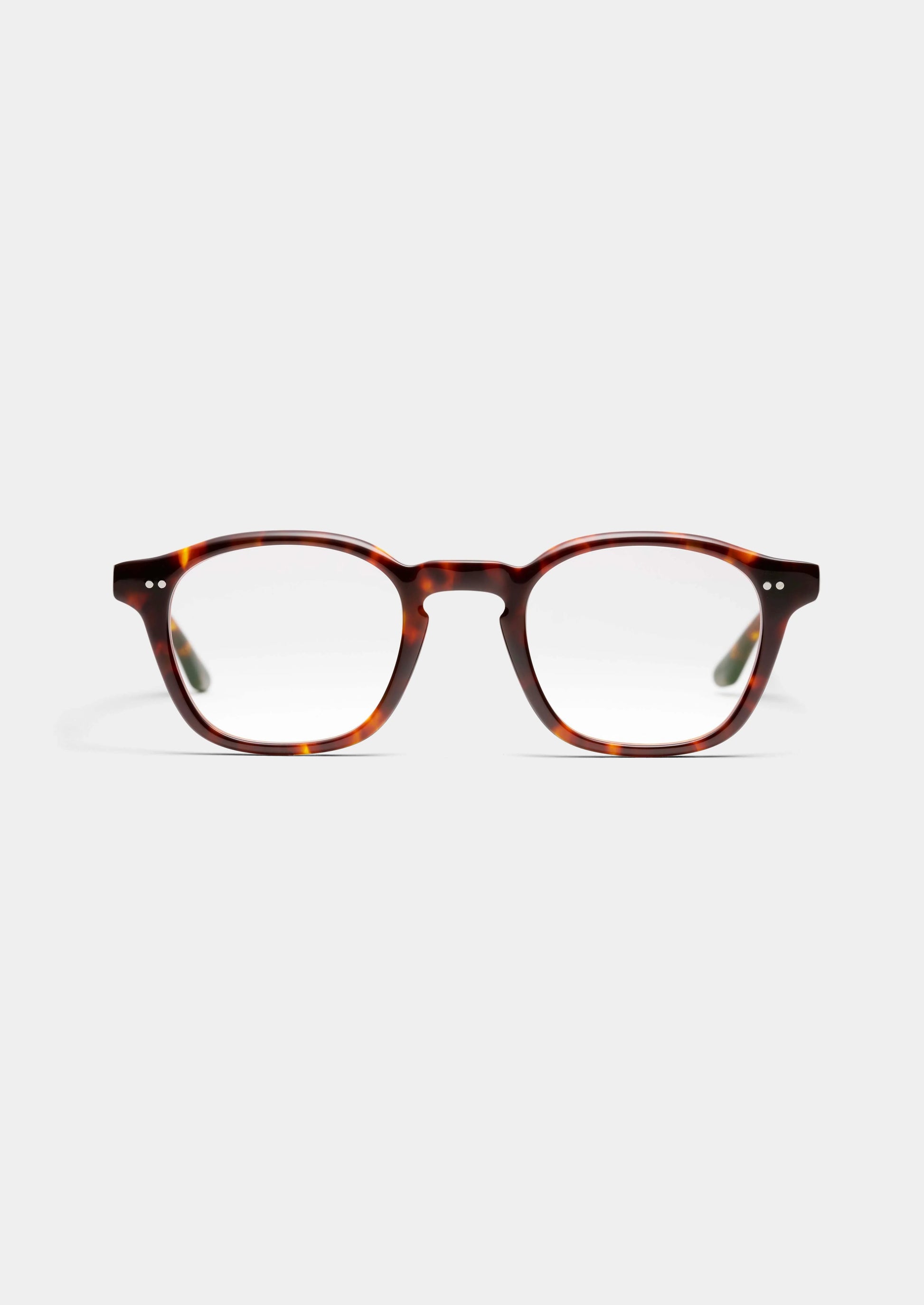 Peter and May | Pm Palace | Tortoise