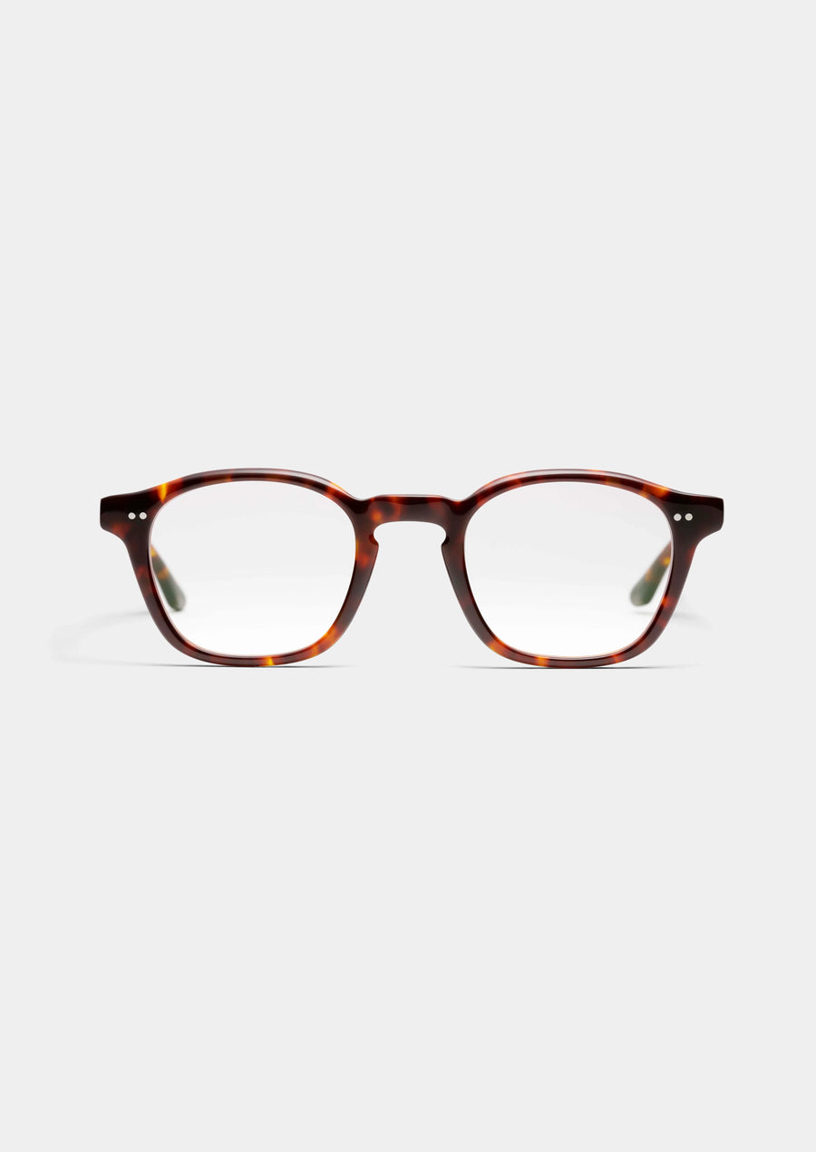 Peter and May | Pm Palace | Tortoise