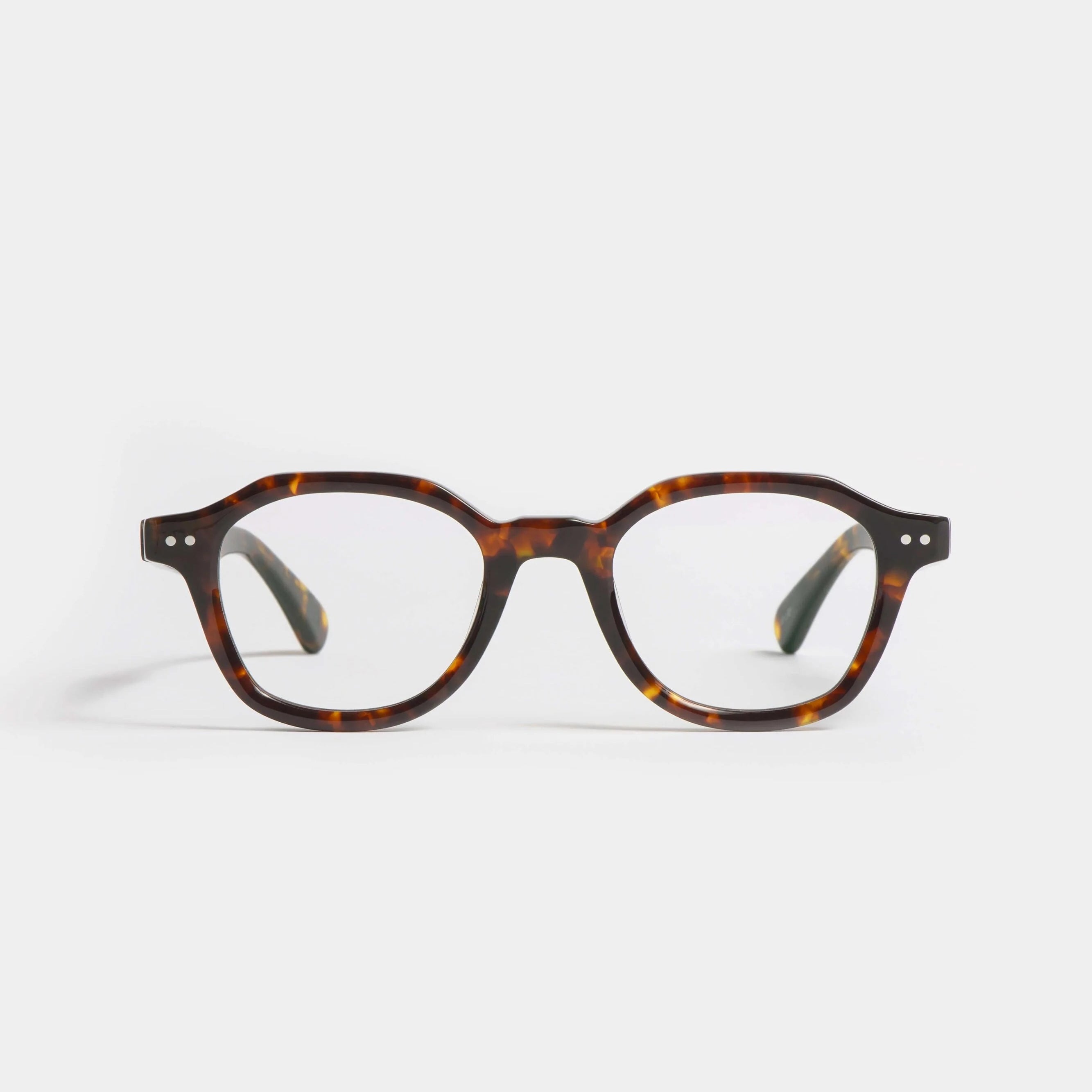 Peter and May | Sky | Tortoise