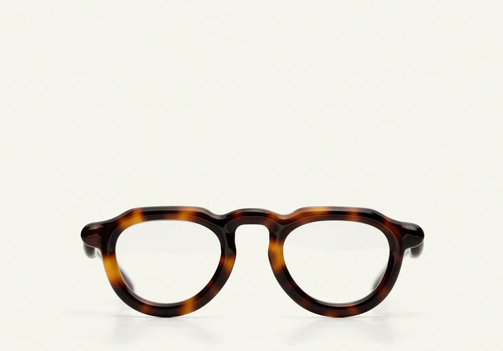 Paloceras , P2 - Havana Gold