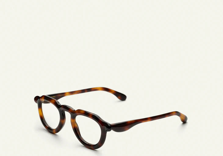 Paloceras , P2 - Havana Gold