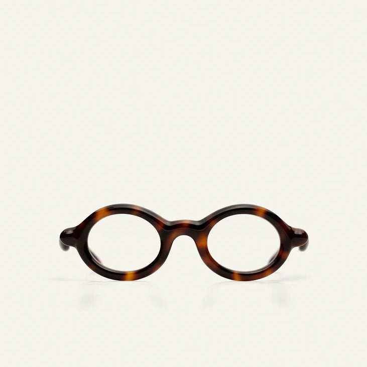 Paloceras | R2 | Havana Gold