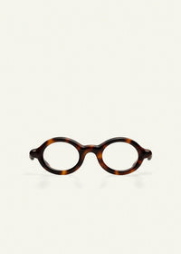 Paloceras | R2 | Havana Gold