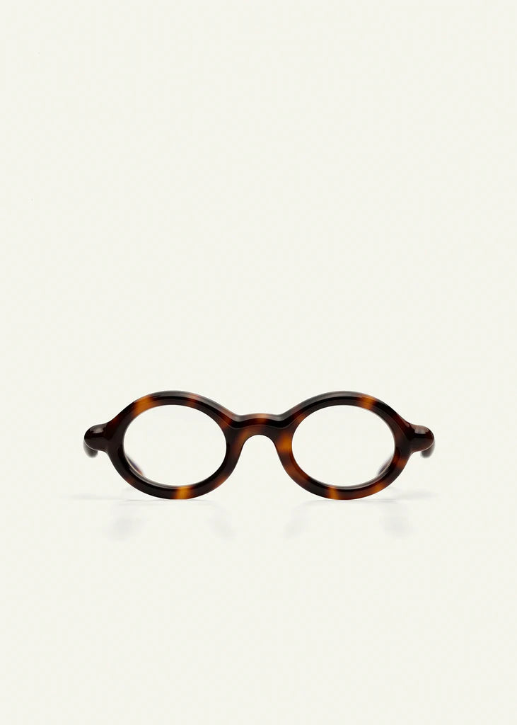 Paloceras | R2 | Havana Gold