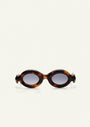 Occhiali da sole Paloceras Pebble RX Havana Gold