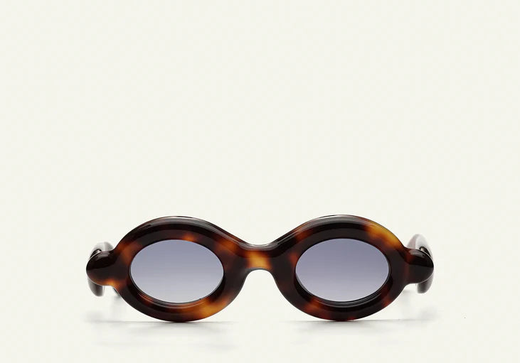 Paloceras , Pebble - Havana Gold