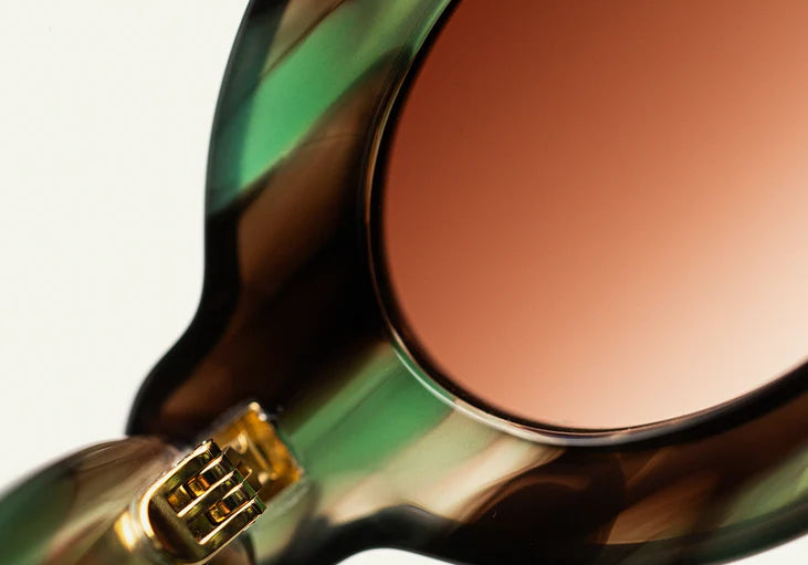 Paloceras , Pebble - Safari Tortoise