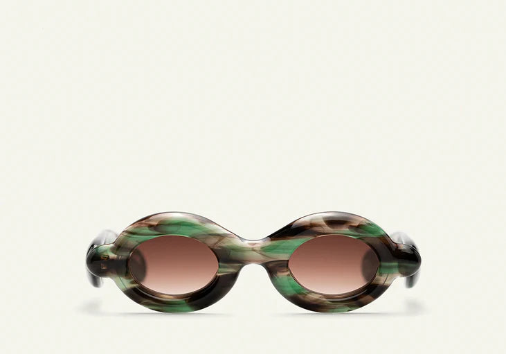 Paloceras , Pebble - Safari Tortoise